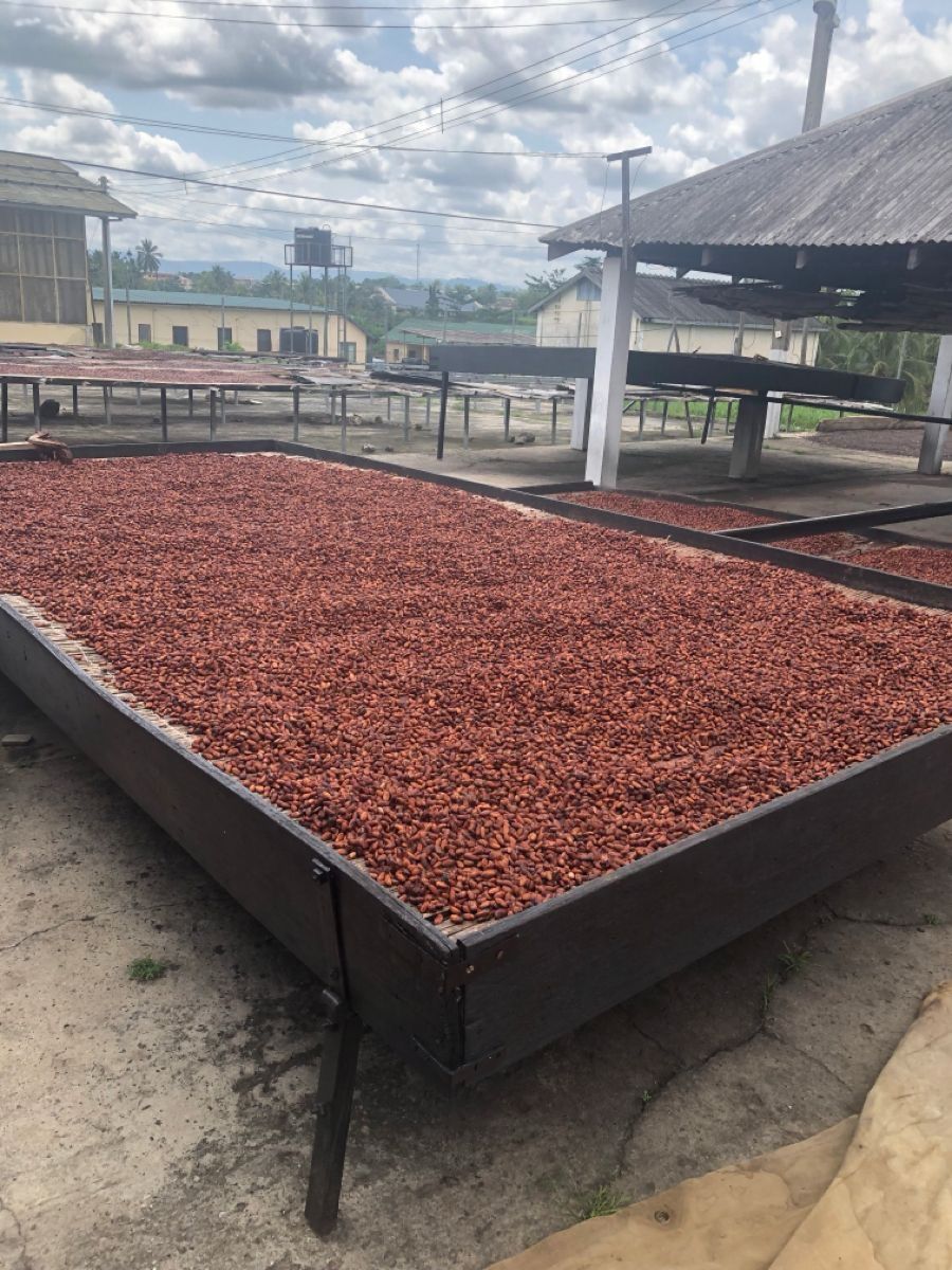 Seddy Supplies team sourcing grains from local Tanzanian farmers
